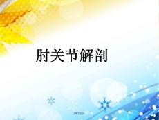 肘关节解剖--课件