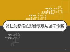 脊柱转移瘤的影像表现与鉴别诊断课件