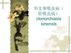 第四节-华支睾吸虫病课件