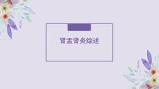 肾盂肾炎影像