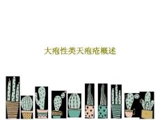大疱性类天疱疮概述课件