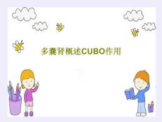 多囊肾概述CUBO作用课件