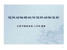 冠状动脉解剖和冠状动脉造影课件