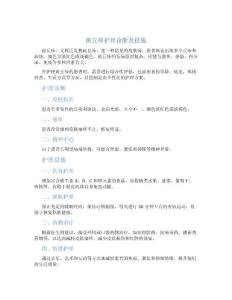 斑丘疹护理诊断及措施