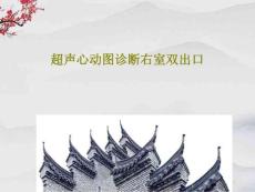 超声心动图诊断右室双出口 ppt课件