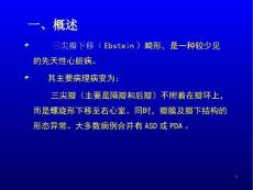 三尖瓣下移畸形PPT课件.ppt