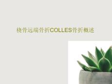 桡骨远端骨折COLLES骨折概述课件
