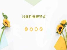 过敏性紫癜肾炎课件