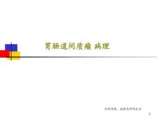 胃肠道间质瘤病理ppt课件