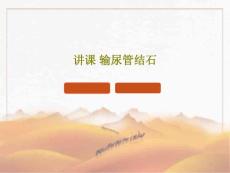 讲课输尿管结石课件