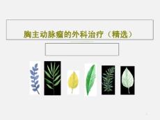 胸主动脉瘤的外科治疗课件