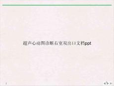 超声心动图诊断右室双出口ppt课件