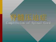 脊髓压迫症讲义课件