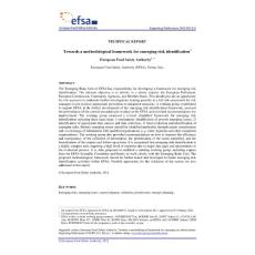 A Framework for Emerging Risks Identification