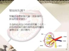 1288肾病