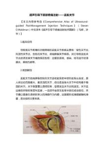超声引导下肩部疼痛注射——盂肱关节