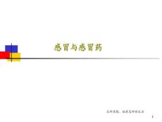 感冒与感冒药P课件