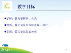 髋关节脱位护理ppt课件
