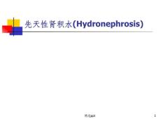 肾积水的护理课件