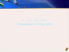 髋关节周围骨折脱位课件