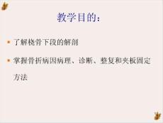 盖氏桡骨下端骨折ppt课件