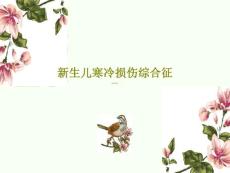 新生儿寒冷损伤综合征 ppt课件