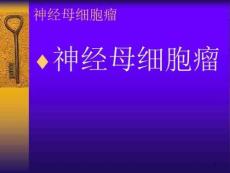 肾神经母细胞瘤课件