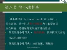 肾小球肾炎 课件