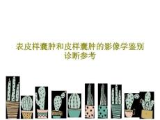 表皮样囊肿和皮样囊肿的影像学鉴别诊断参考课件