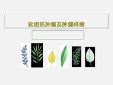 软组织肿瘤及肿瘤样病ppt课件