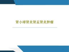 肾小球肾炎肾盂肾炎肿瘤课件