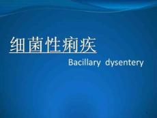 细菌性痢疾课件