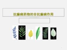 抗癫痫药物的非抗癫痫作用课件