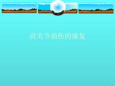 肩关节损伤康复 ppt课件