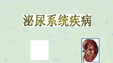 儿科肾炎课件