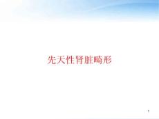 先天性肾脏畸形-课件
