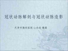冠状动脉解剖与冠状动脉造影 课件