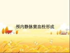 颅内静脉窦血栓形成