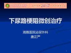下尿路梗阻微创治疗课件