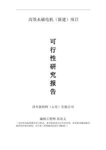 高效永磁電機新建項目可行性研究報告建議書申請格式范文