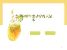 主动脉缩窄主动脉内支架术ppt课件
