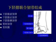 下经费韧带损伤课件