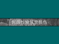 医源性输尿管损伤课件