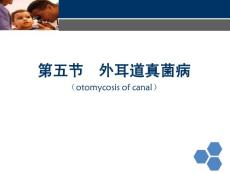 临床医学-耳鼻喉外耳道真菌病