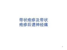 带状疱疹及带状疱疹后神经痛ppt课件