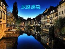 尿路感染简介课件