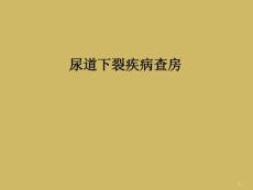 尿道下裂疾病查房课件