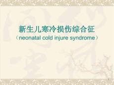 新生儿寒冷损伤综合征ppt课件