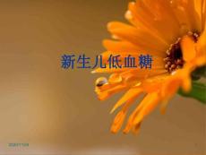 新生儿低血糖症及并发症-课件