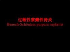过敏性紫癜性肾炎课件